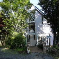 フォレストイン チップマンク