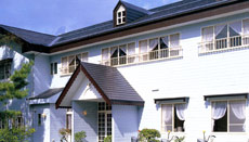 ホワイト ウイング