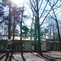 平野屋旅館 <山梨県>