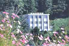 プチホテル グリーンレイク