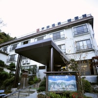 芦安温泉 岩園館