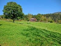 キッズペンションめーぷる