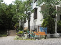 ペンション ボタンダウン