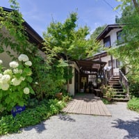 バラと季節の花 貸別荘 野わけ