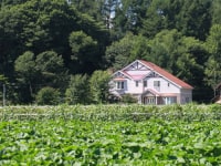 飯綱東高原 ペンションひまわり