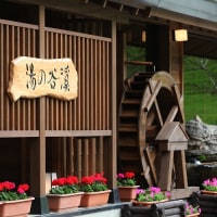 高原の温泉宿 渓谷の湯
