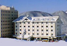 ホテル アルパイン<長野県>