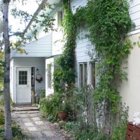 ペンション ロビン