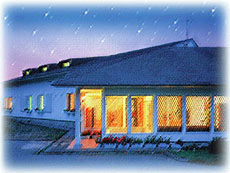 スターダスト・ミネー