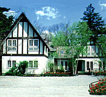 シルバー フォックス