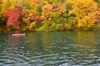 ヤマニーカワニー