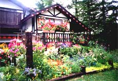 アルペン フローラ