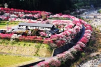 月川温泉 野熊の庄 月川
