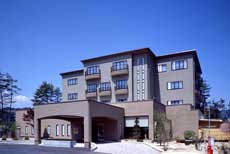 下條温泉 浪漫の館 月下美人