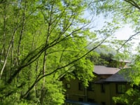 中の湯温泉旅館