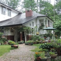 高原の小さなホテル コットンスノー