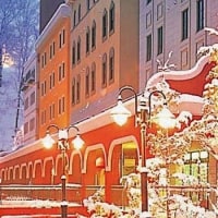 ホテルけやきの樹