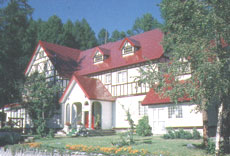 ピュアモール ミモザ