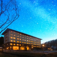 美肌の源泉100%かけ流し 高山龍神温泉 龍リゾート&スパ