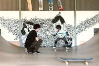 Link up skateboard shop