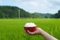 茅葺庵三井の里 档の館