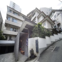 湯宿 みかんの木