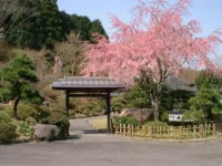 民営国民宿舎 井原の庄