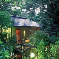 伊豆高原 城ケ崎温泉 花吹雪