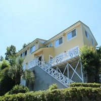 伊豆高原の小さな隠れペット宿 ブランニューデイ