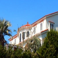 押し花アートを楽しめる犬の宿 ガラスの仔犬