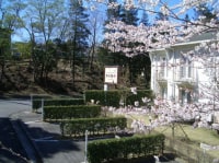 コンドミニアム型貸別荘 アートロード