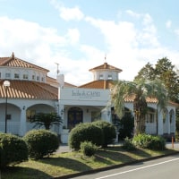 Isola di CAPRI Hotel & cafe