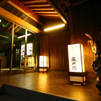 鉱石ミネラル嵐の湯 湯治の館 2号館