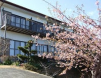 今井浜温泉 晴海荘