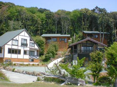 小さな宿&レストラン しいの木やま