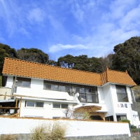 下田温泉 温泉民宿 浜屋