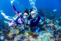 ダイビングスクールジェイズヘブン