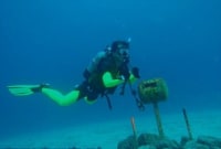 むねダイビングショップ