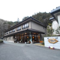 寸又峡温泉 湯屋飛龍の宿