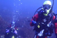 宇佐美ダイビングセンター