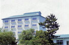 ビラックス高薗