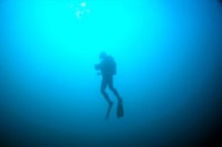 菖蒲沢ダイビングセンター