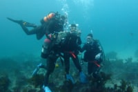 須崎ダイビングセンター