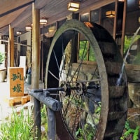 自然に包まれる刻 緑想庵 狐塚