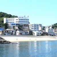 篠島観光ホテル 大角<篠島>