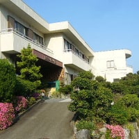 ニューはまぐち屋旅館