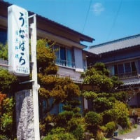 民宿 うなばら