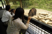 サホロリゾート 『ベア・マウンテン』