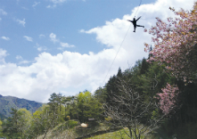 フォレストアドベンチャー・こすげの写真1