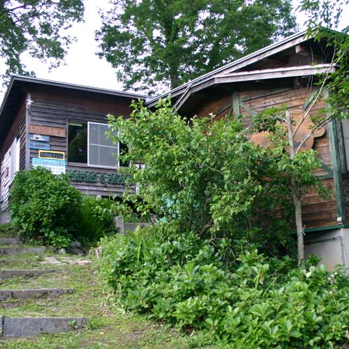 Las ママス&パパスの写真1